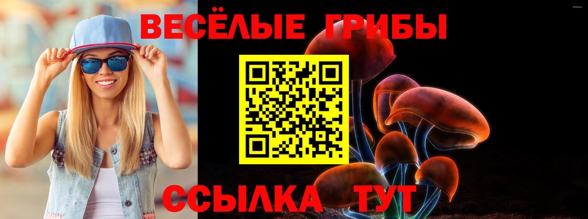 Галлюциногенные грибы Psilocybine cubensis  наркота  Батайск  Вход с VPN 